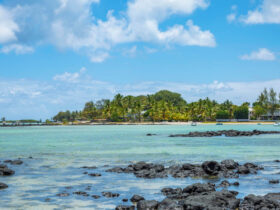 Découvrez l'île Maurice autrement avec des excursions privées